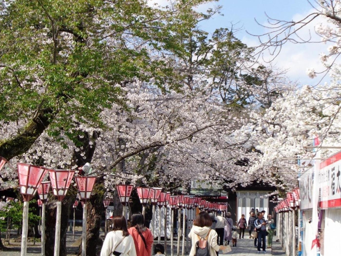 Guesthouse Giwa - Vacation Stay 14269V Mishima  Exteriör bild